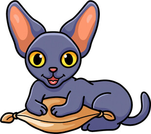 趴着的可爱蓝猫