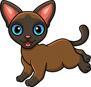 奔跑的可爱棕色小猫