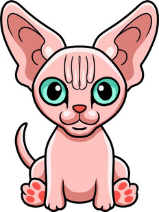 可爱无毛猫卡通形象