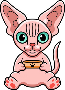 可爱无毛猫玩平板电脑