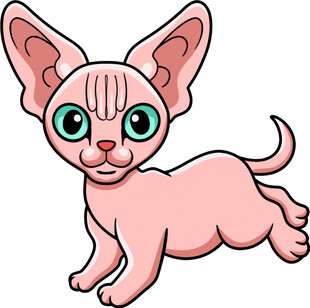 可爱无毛猫卡通形象