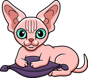 可爱无毛猫趴在紫色垫子上