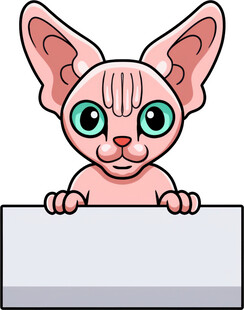 无毛猫举空白标牌