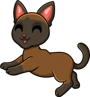 跳跃的可爱黑猫