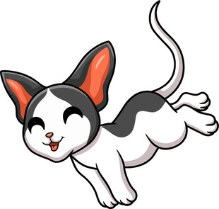 跳跃的可爱黑白猫咪