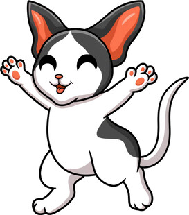 可爱黑白猫欢快舞动