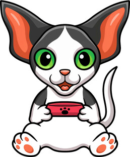 可爱小猫吃西瓜