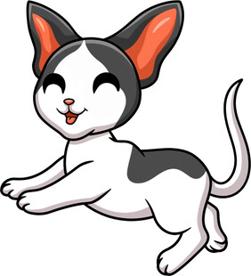 跳跃的可爱黑白猫咪