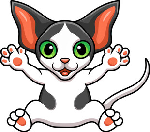 可爱小猫开心挥手