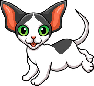 可爱萌趣小猫咪奔跑瞬间