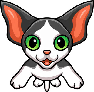 可爱卡通小猫形象