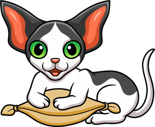 趴着的萌趣大耳猫咪