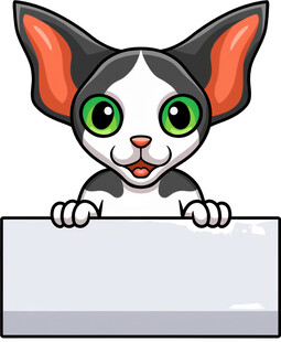 可爱猫咪探身白板旁