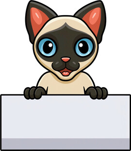 可爱暹罗猫举空白标牌