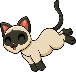 跳跃的可爱暹罗猫