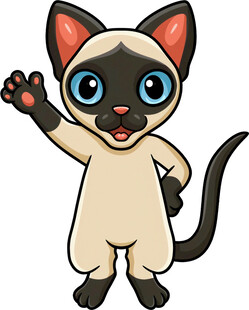 挥手的可爱暹罗猫