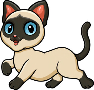 可爱暹罗猫欢快奔跑