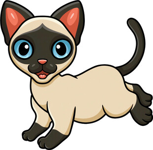 可爱暹罗猫欢快奔跑