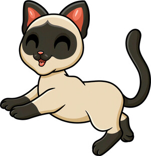 跳跃的可爱暹罗猫