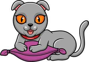 趴着的可爱灰猫