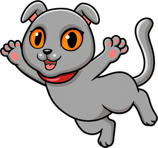 跳跃的可爱灰狗