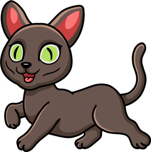 奔跑的可爱黑猫