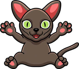 可爱黑猫张开爪子卖萌