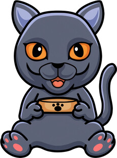 可爱黑猫手持神秘物件