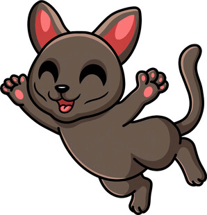 跳跃的可爱黑猫