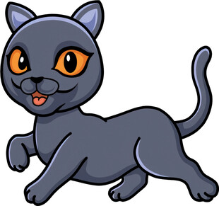 奔跑的可爱黑猫