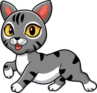 奔跑的可爱灰黑花纹小猫