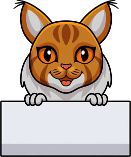 可爱猫咪探身白板前