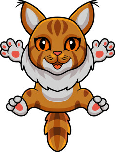 跳跃的可爱猫咪