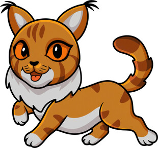 奔跑的可爱橘白猫咪