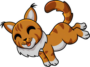 跳跃的可爱花猫