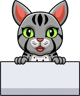 可爱猫咪探身白板前