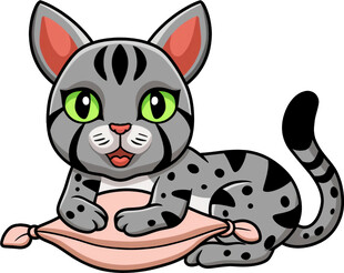 趴着的斑点小猫