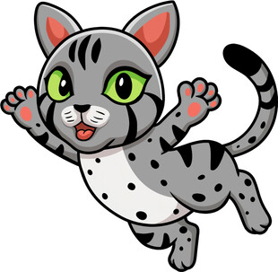 跳跃的斑点小猫