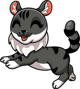 跳跃的可爱灰黑猫咪