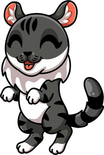 可爱黑白猫咪欢乐起舞