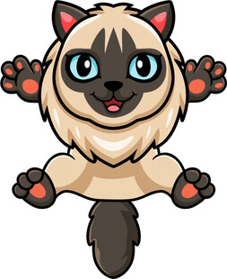 可爱暹罗猫跃起瞬间