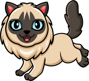 奔跑的可爱暹罗猫