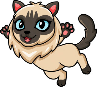 跳跃的可爱暹罗猫