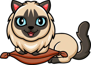 可爱暹罗猫惬意躺卧