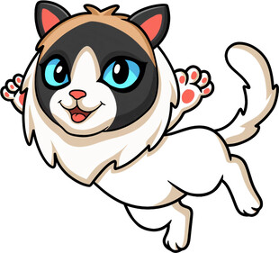 跳跃的可爱猫咪