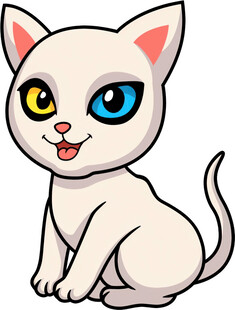 可爱双色眼小白猫