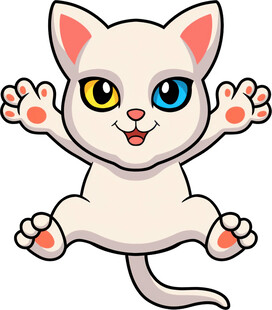 跳跃的双色眼可爱小白猫