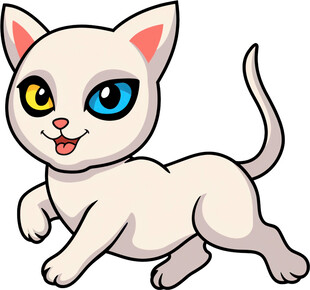 可爱小白猫欢快奔跑