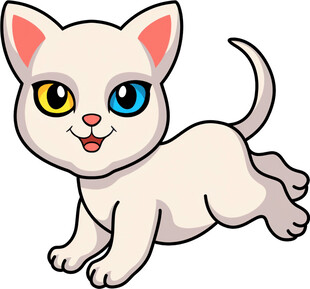 奔跑的可爱小白猫