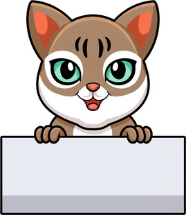 可爱猫咪探身白板前